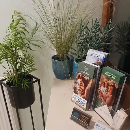 Aziza * Kościelisko