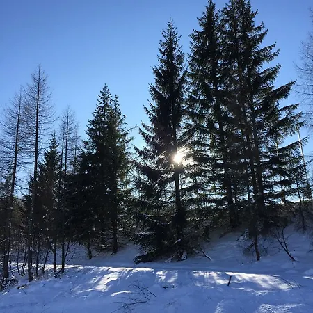 Privatunterkunft Aziza *