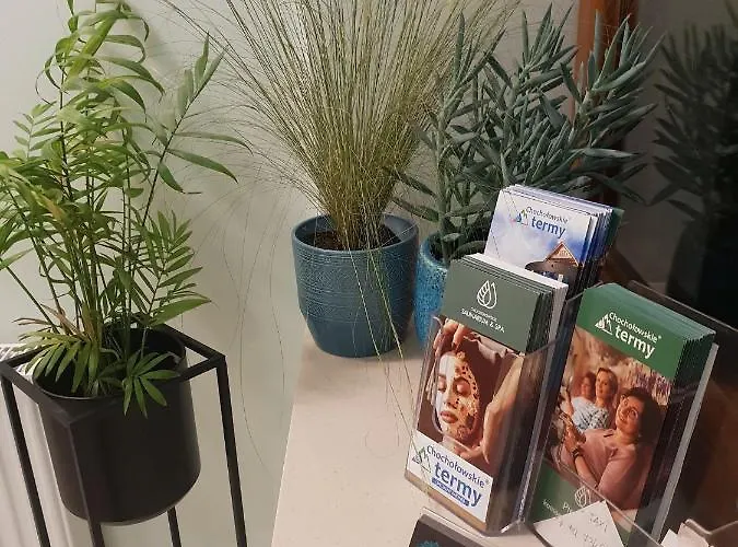 Aziza * Kościelisko