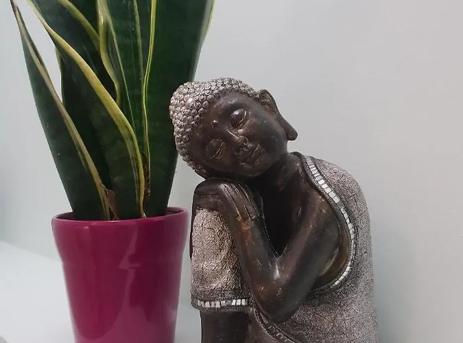 Accommodatie bij particulieren Aziza