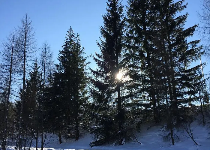 Accommodatie bij particulieren Aziza *