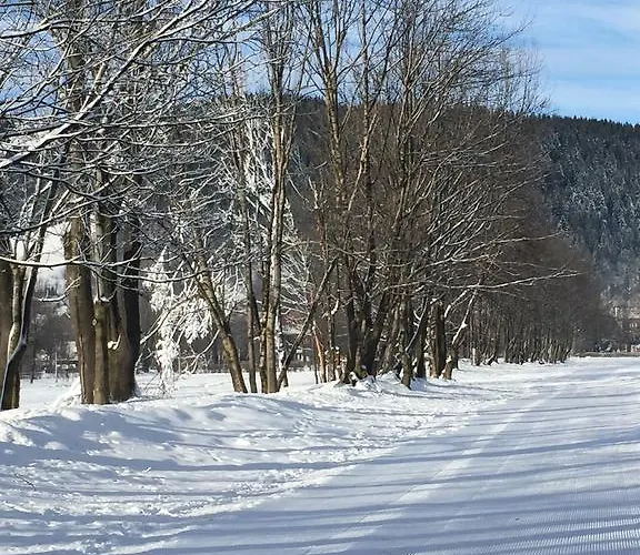 Accommodatie bij particulieren Aziza